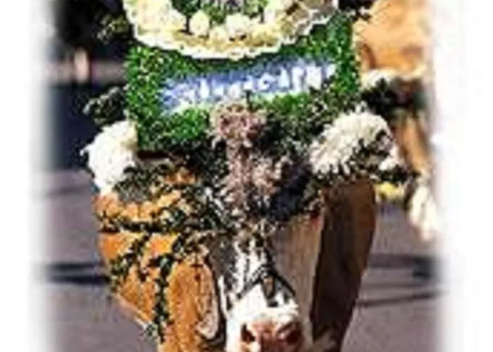 Appart hôtel Kalswirt